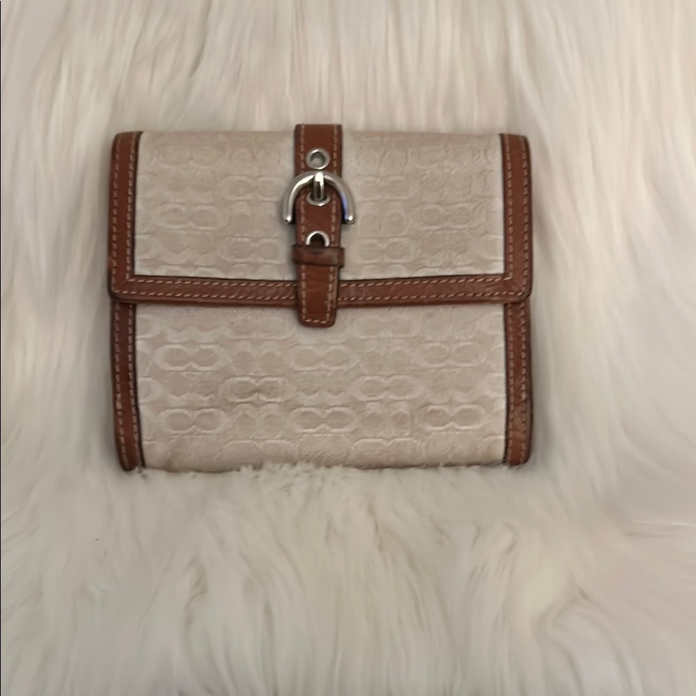 Elegant Beige and Brown Women's Bag